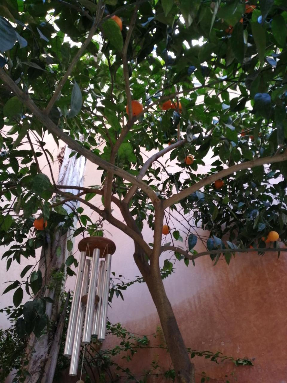Les Bains De Fez Tara Bed and Breakfast Εξωτερικό φωτογραφία